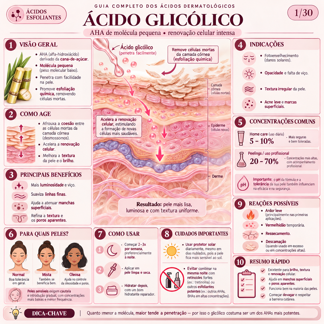 Ficha 1