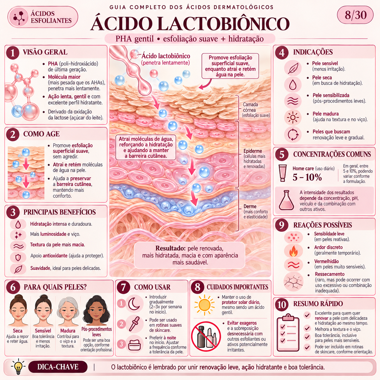 Ficha 11